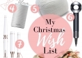My Christmas wish list