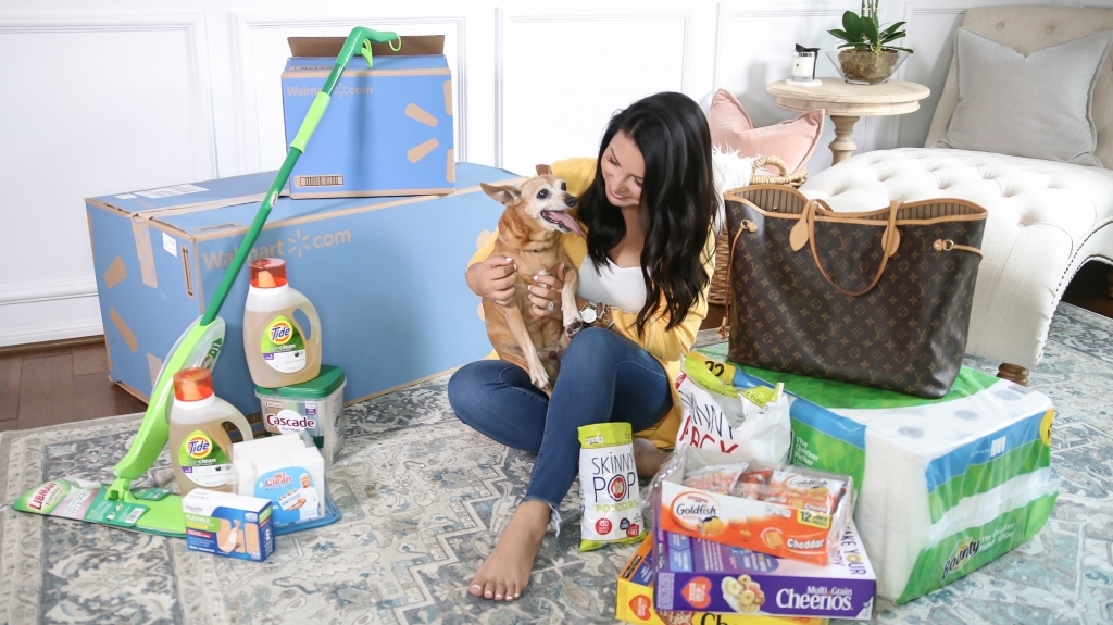 How to Get Household Essentials with Walmart Next Day Delivery by popular Texas life and style blog: Lux Mommy: image of a woman holding her dog and sitting on her floor next to some Walmart next day delivery boxes.