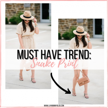 Fall Must Have Trend – Snake Print