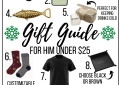 IMG_027gift guide for him under $256
