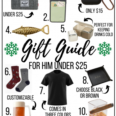 IMG_027gift guide for him under $256