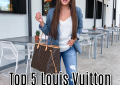 Houston top fashion and lifestyle blogger LuxMommy shares the top 5 louis vuitton classic handbags including the Louis Vuitton neverfull, alma, speedy, capucines and pochette metis