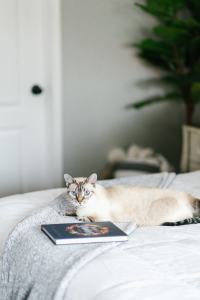 Houston top fashion and lifestyle blogger LuxMommy shares Affordable Bedroom Refresh