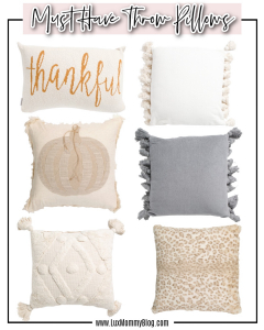 Fall throw pillows from tjmaxx.com