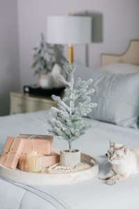 Houston top fashion and lifestyle blogger LuxMommy shares 5 fail proof last minute gift ideas for everyone on your list