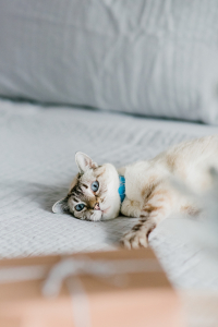 Houston top fashion and lifestyle blogger LuxMommy shares 5 fail proof last minute gift ideas for everyone on your list